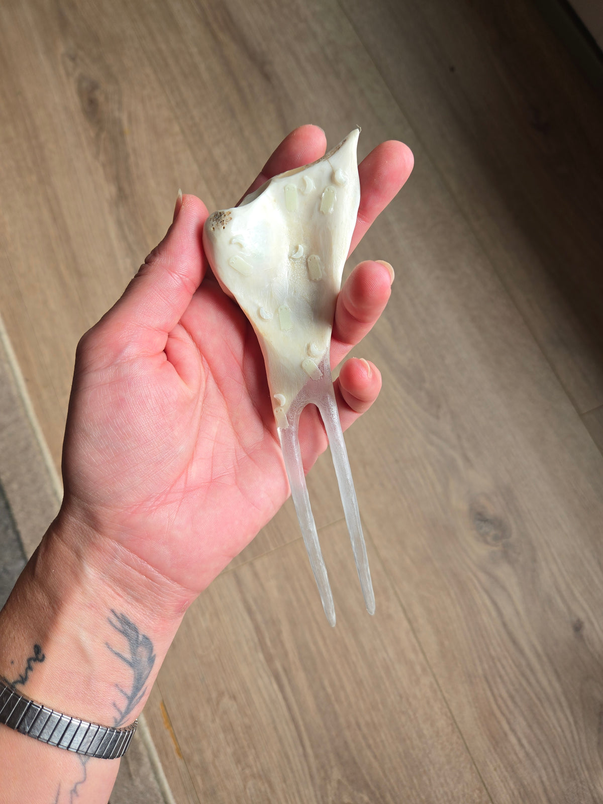 Deer Bone & Epoxy Hair Pins
