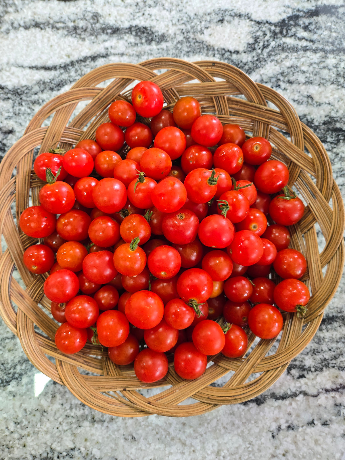 Fresh Tomatoes