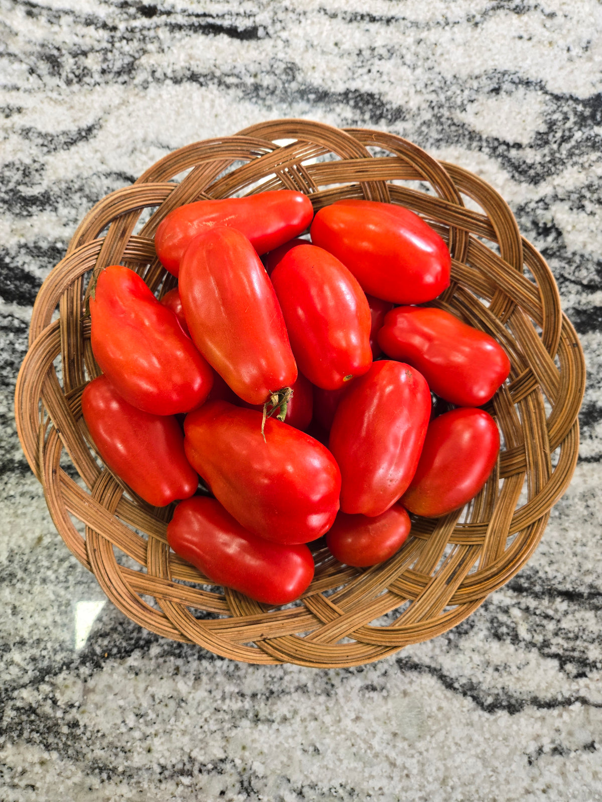 Fresh Tomatoes