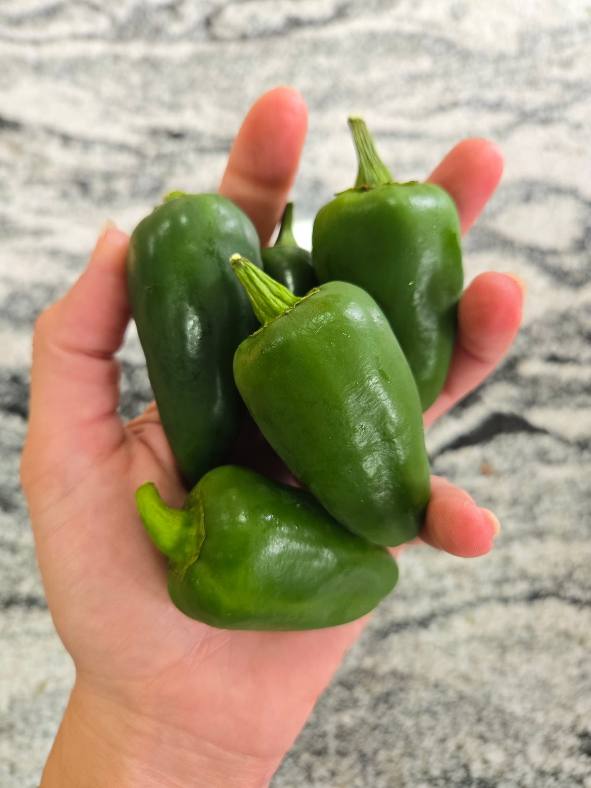 Fresh Hot Peppers