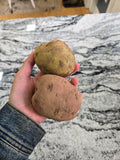 Fresh Potatoes